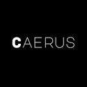 Caerus Realty