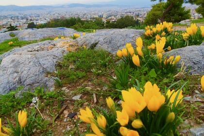 Δωμάτιο για ενοικίαση, Κουκάκι, Κέντρο Αθήνας