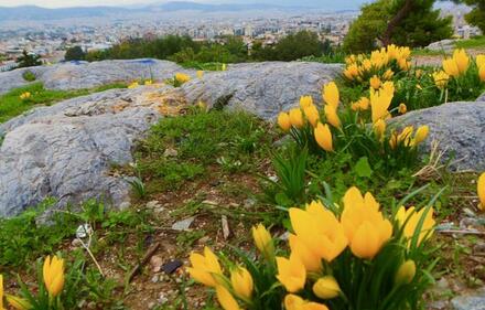 Room to rent, Koukaki, Athens - Center