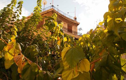 Flat, Exarchia, Athens (Center)