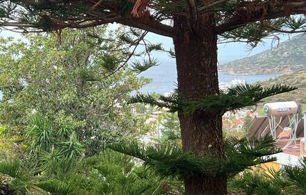 Room to rent, Anavissos, Attica (Rest of Attica)