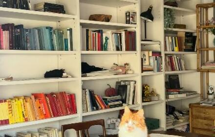 Room to rent, Exarchia, Athens (Center)